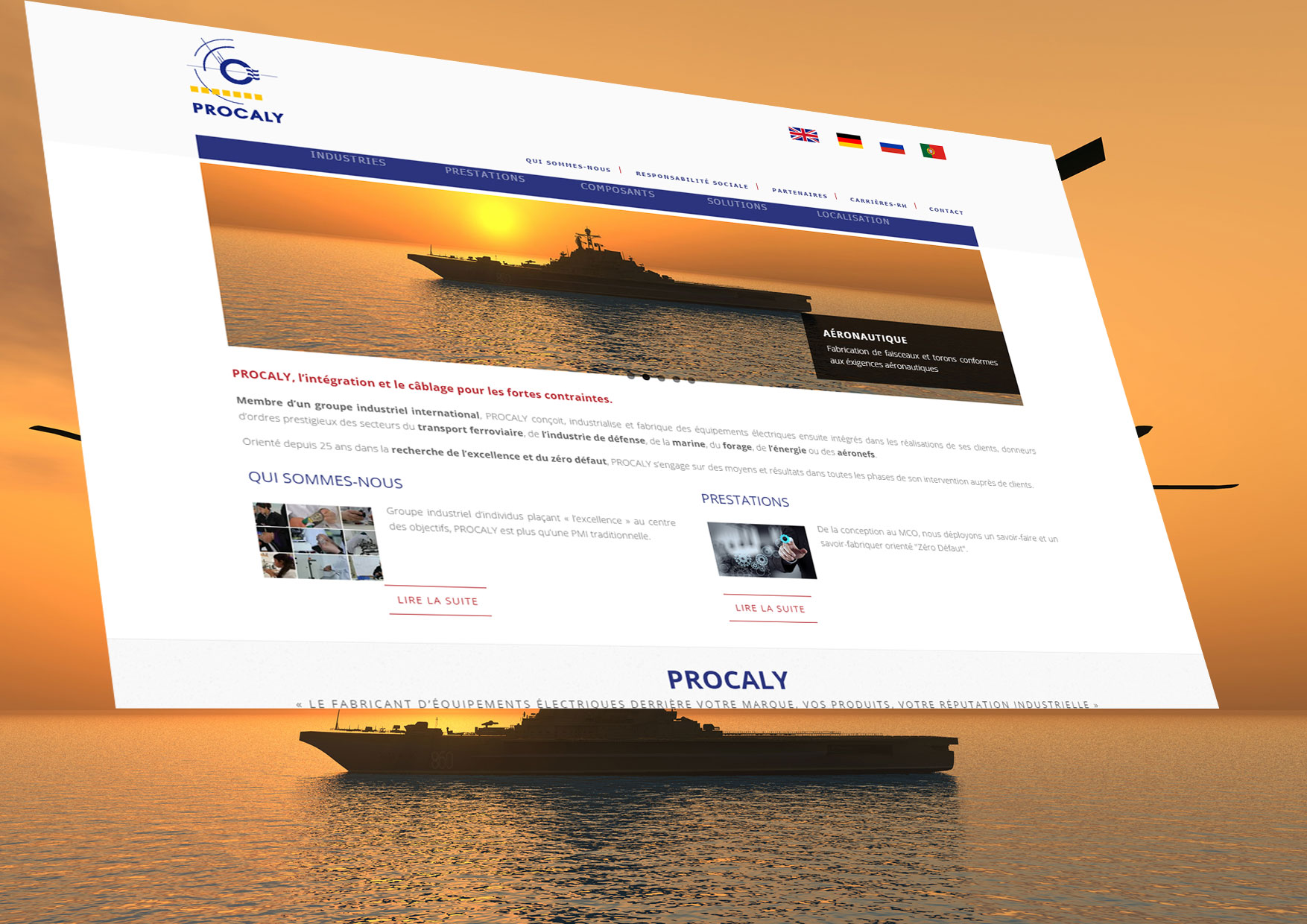 Création et programmation du site Internet pour la société Procaly : www.procaly.com